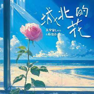 国产日韩欧美911在线观看
