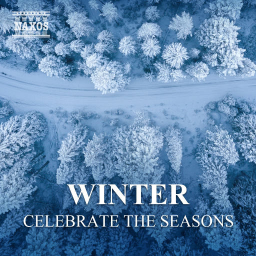 国产日韩欧美911在线观看
